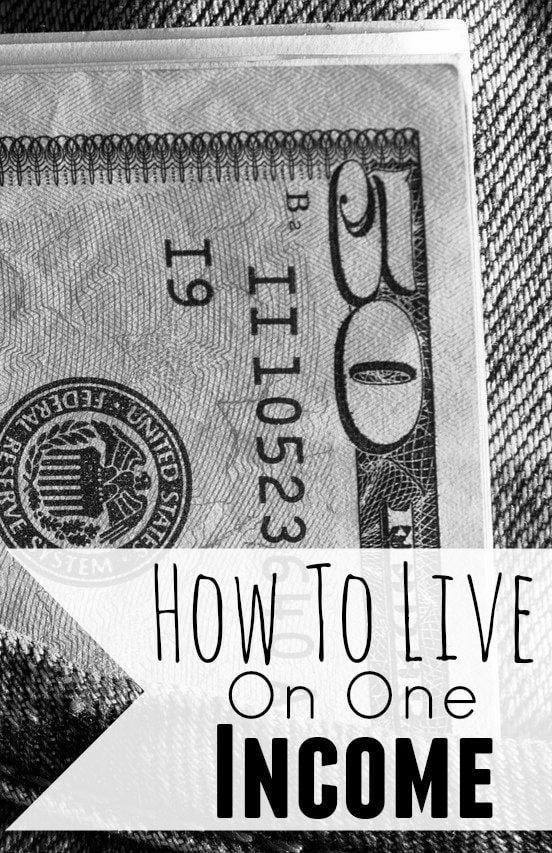 How to Live on One Income and Like it photo 2