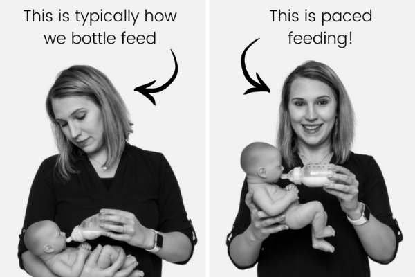 Pace Feeding for Beginners: Everything You Need to Know image 0