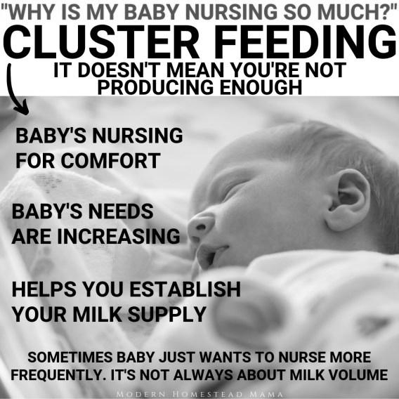 What is Cluster Feeding and How to Survive it image 0